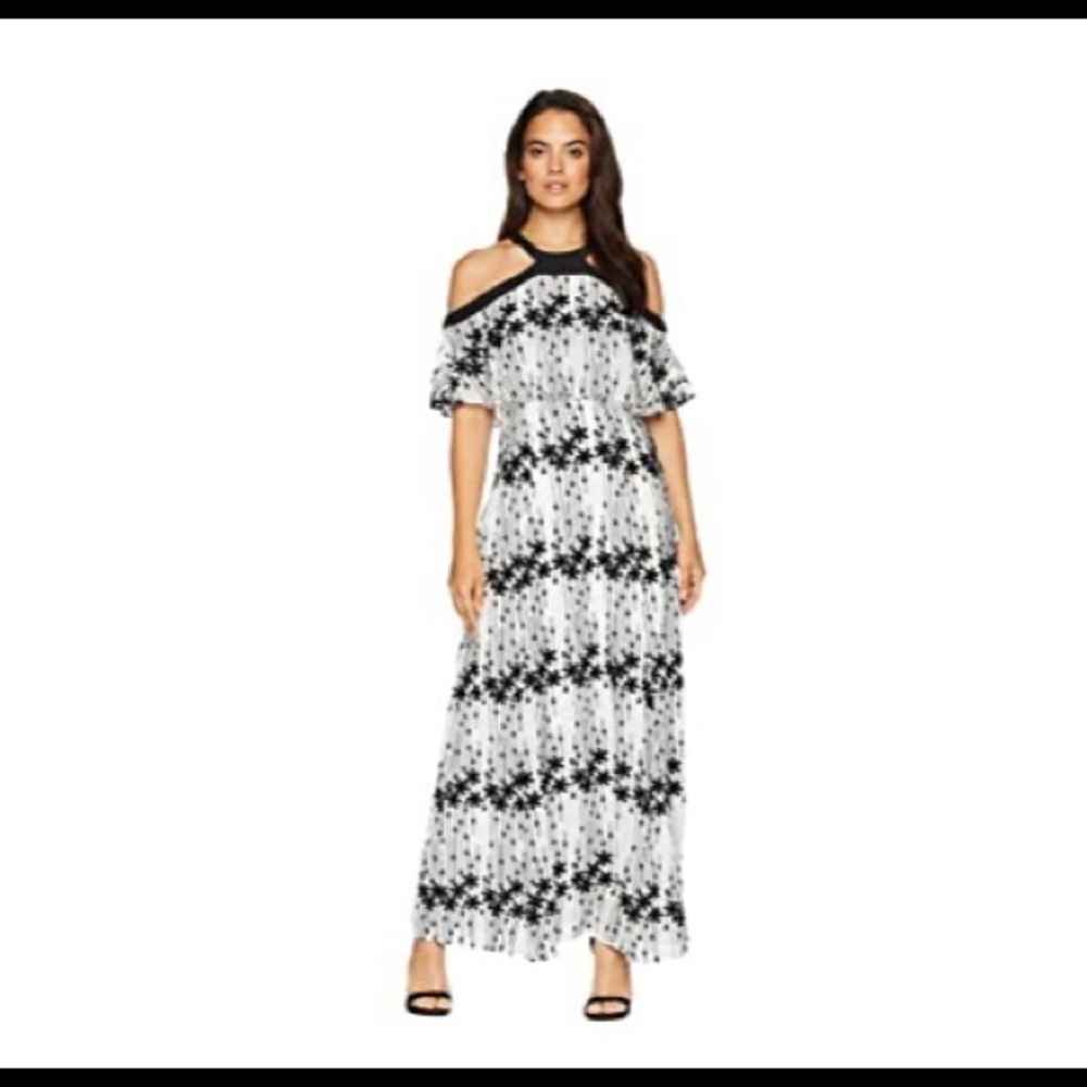 Taylor Dresses - Embroidered Chiffon Long Dress